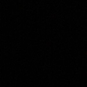 Meet your Posher, Rory